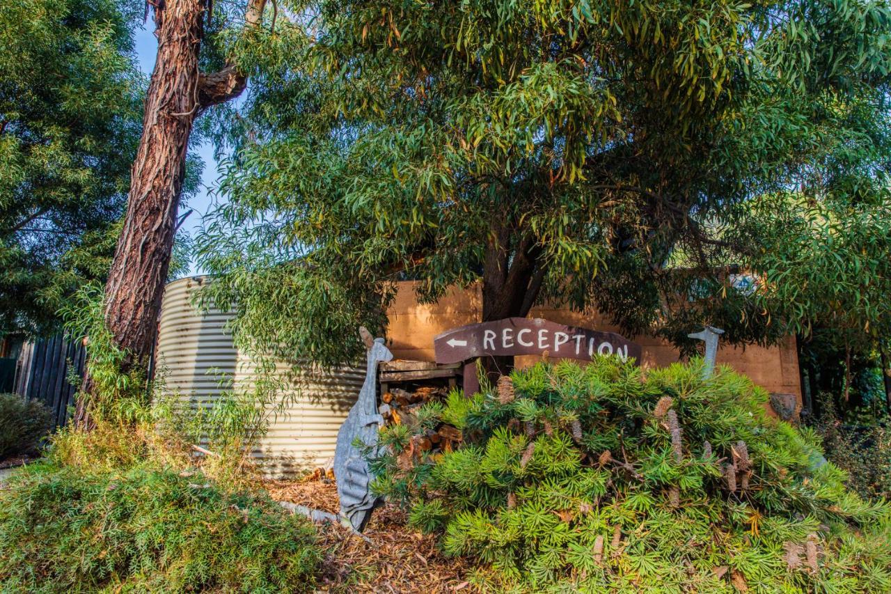 Yha Grampians Eco, Halls Gap Exterior foto